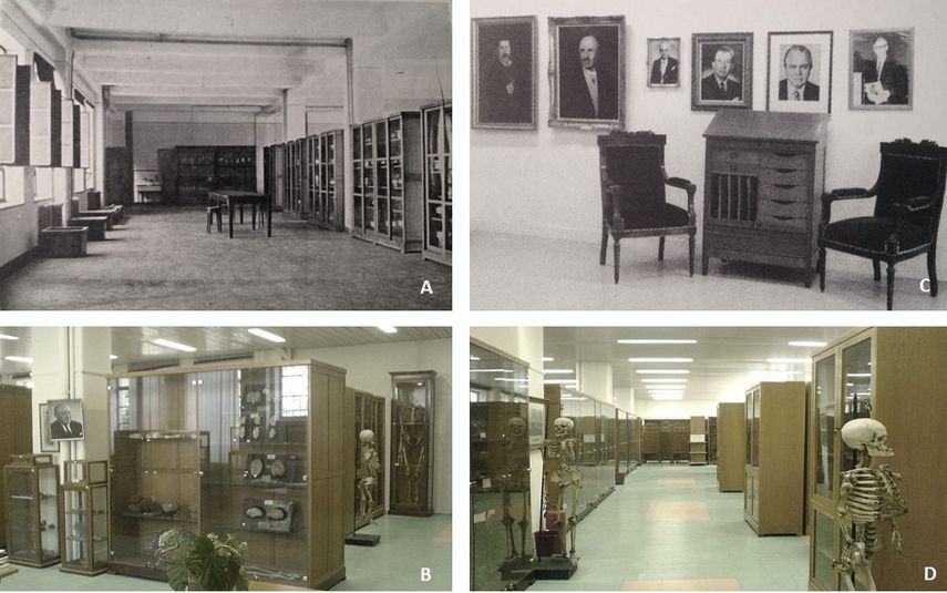 A. The anatomical museum of the Department of Anatomy of National and Kapodistrian University of Athens as it was founded in 1902 and B, C, D. its current views (2012)