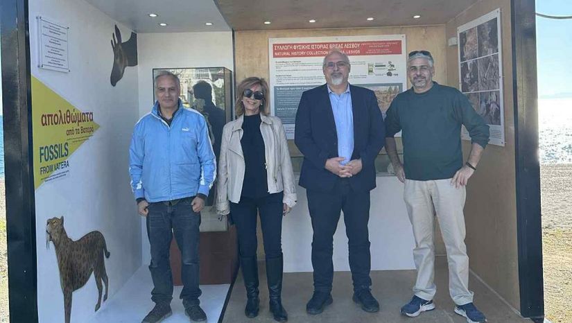 New Palaeontology Exhibition at Vatera, Lesbos, Now Open to Visitors