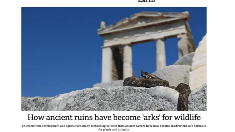 BBC Article on BIAS: International Recognition for the Innovative Project on Biodiversity Mapping in Archaeological Sites Led by the National and Kapodistrian University of Athens